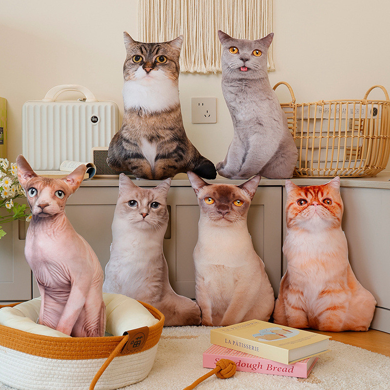 48CM 3D Printed Cat Plush Pillow Simulated Ragdoll Cat‌ Maine Coon‌ Orange Cat inese Li Hua Sphynx C