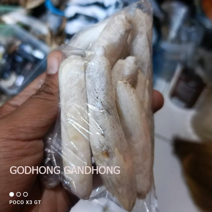 pusaka fosil kantil ajaib bnnya menghitam malah memutih KJM1122 RPS7