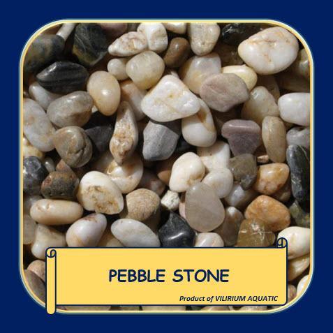 CelloCare PERLENGKAPAN AQUASCAPE - BATU PEBBLE / PEBBLE STONE