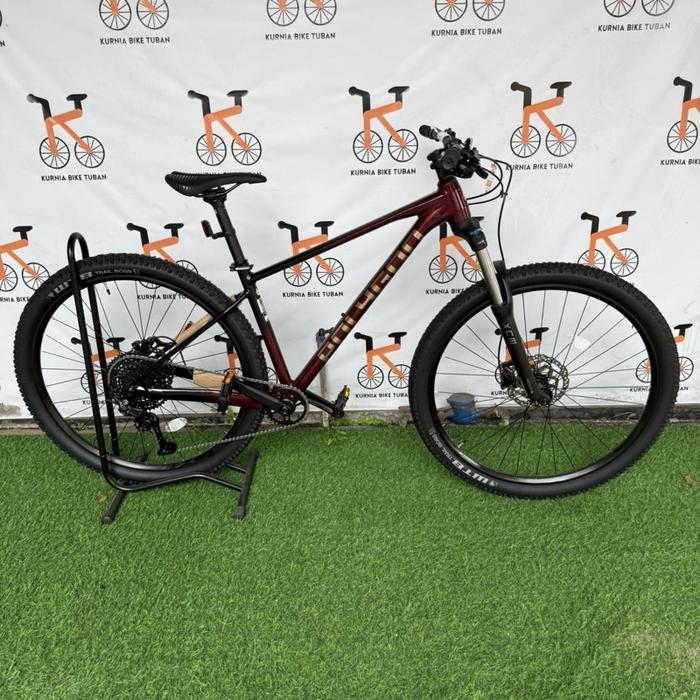 Sepeda MTB POLYGON XTRADA 5 - New FA, S