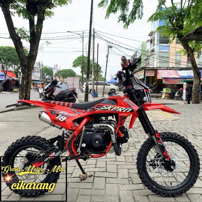 MOTOR MINI TRAIL 110CC SK PRO MANUAL / MATIC RING 14/12 MESIN 4TAK - Merah Matic