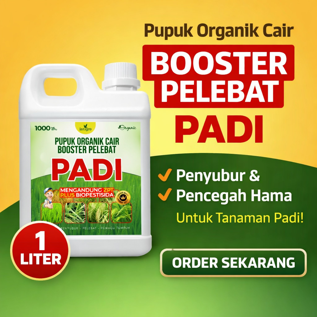 Pupuk Spesial Penyubur Padi Penambah Hasil Padi Booster Daun dan Anakan Mempercepat Berbuah Lebat