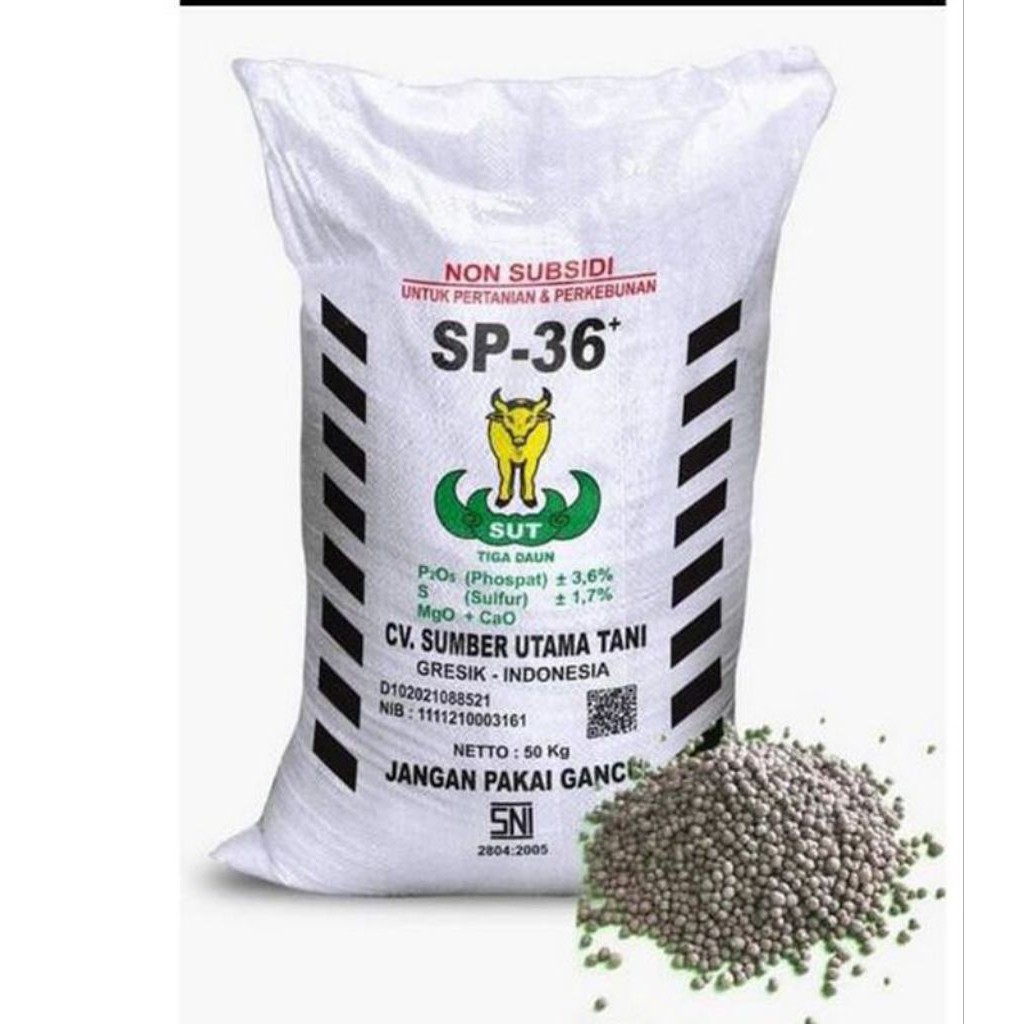 PUPUK TSP SP 36 1 KG ORIGINAL REPACK Pupuk Tani Penyubur dan Pembenah Tanah l