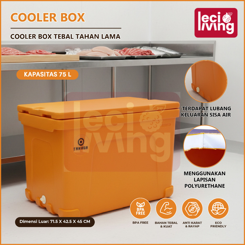 COOLER BOX 75L - Container Box / Termos Es Kotak / Ice Box / Tempat Es Batu / Daging / Ikan