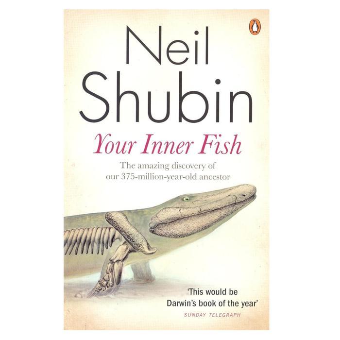 YOUR INNER FISH NEIL SHUBIN - softcover, UK/A5 KECIL