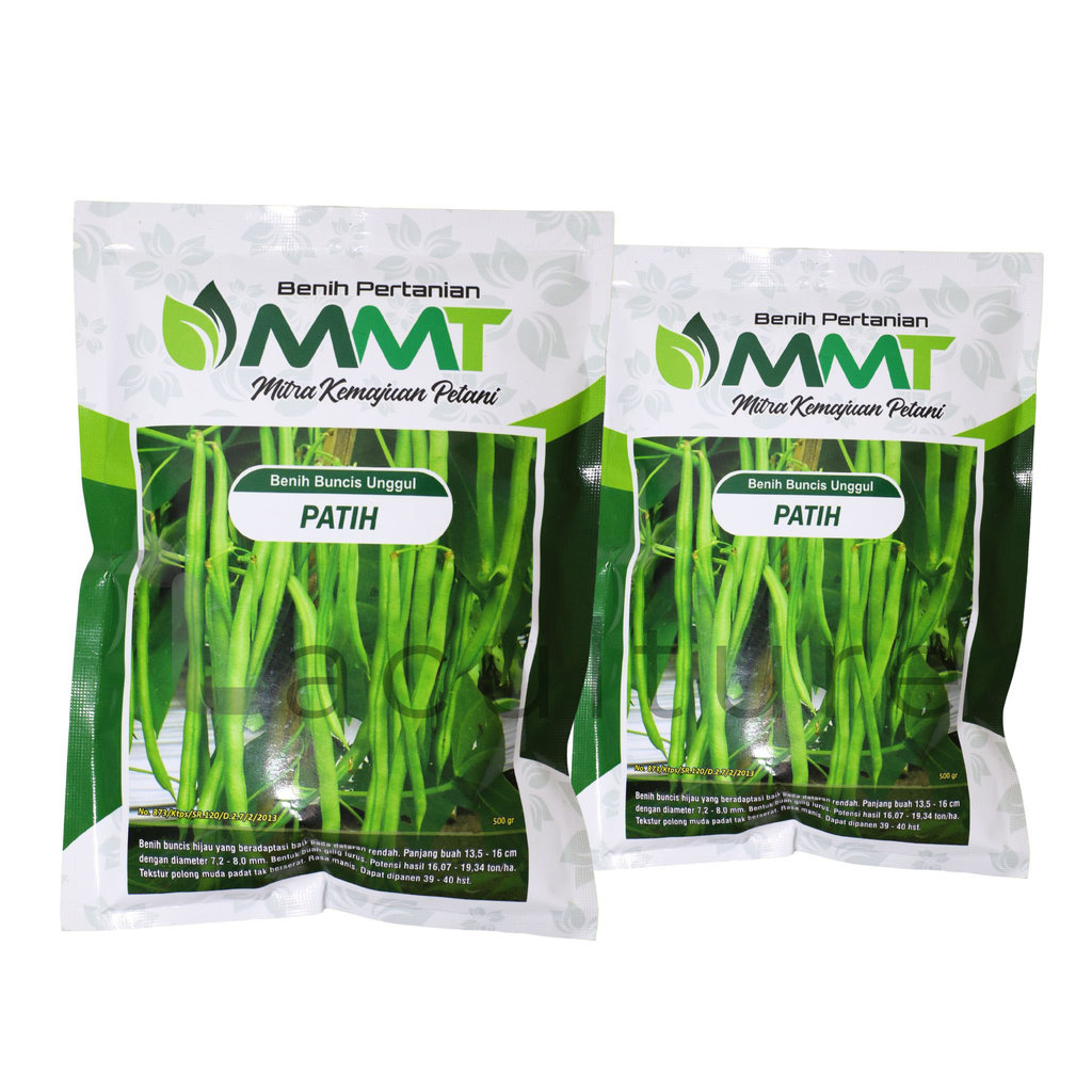Benih Buncis Unggul PATIH Isi 500 gram Benih MMT