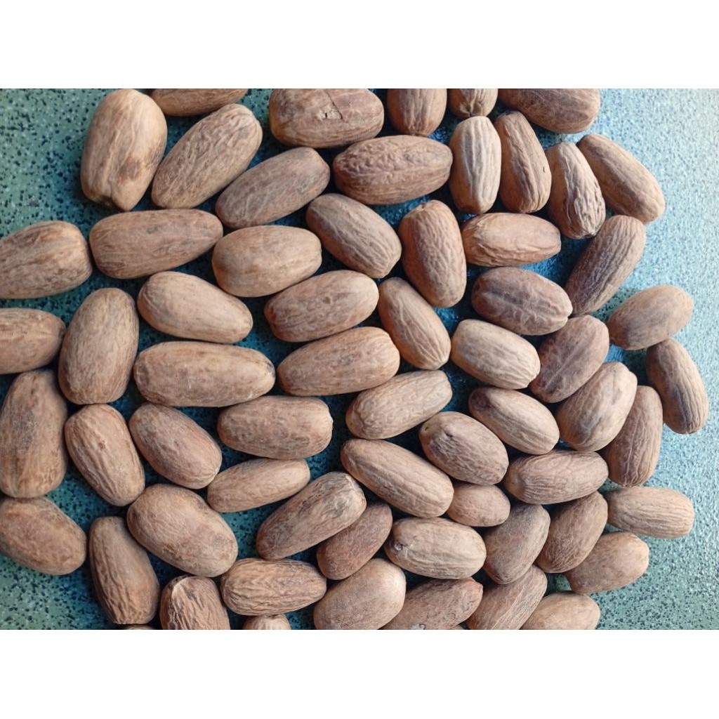 Biji Pala Kupas Lonjong. Kering.