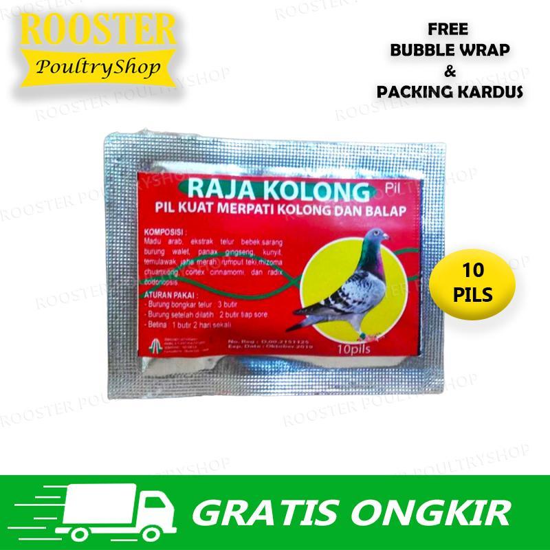 RAJA KOLONG Vitamin Burung Merpati Burung Dara Tinggian Kolongan