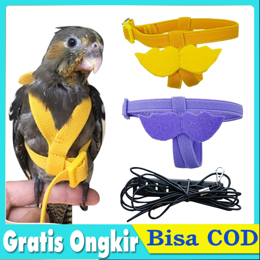 Harness Burung Parrot Tali Pengikat 2 Meter Nyaman Aman Parrot Harness Leash Bird Walking Training C