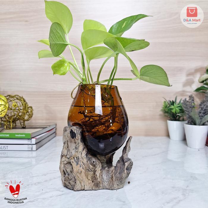 Aquarium Kaca Tiup Akar Kayu Pot Kaca Glass Wood Terrarium Orange Sedang Home Decor