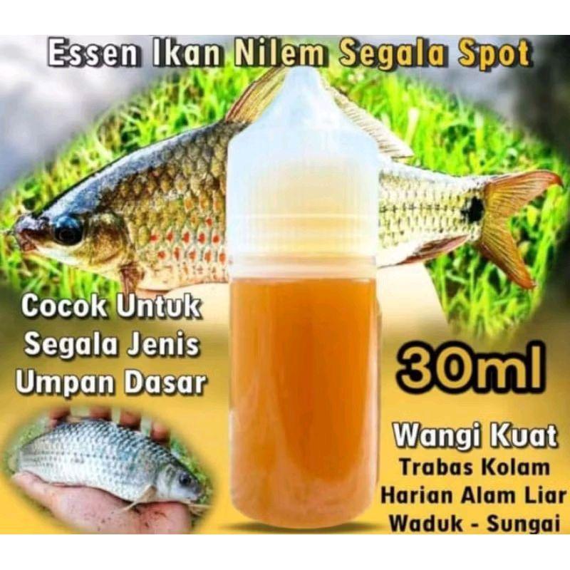 Bandung Mancing - Essen ikan nilem segala spot terbaik
