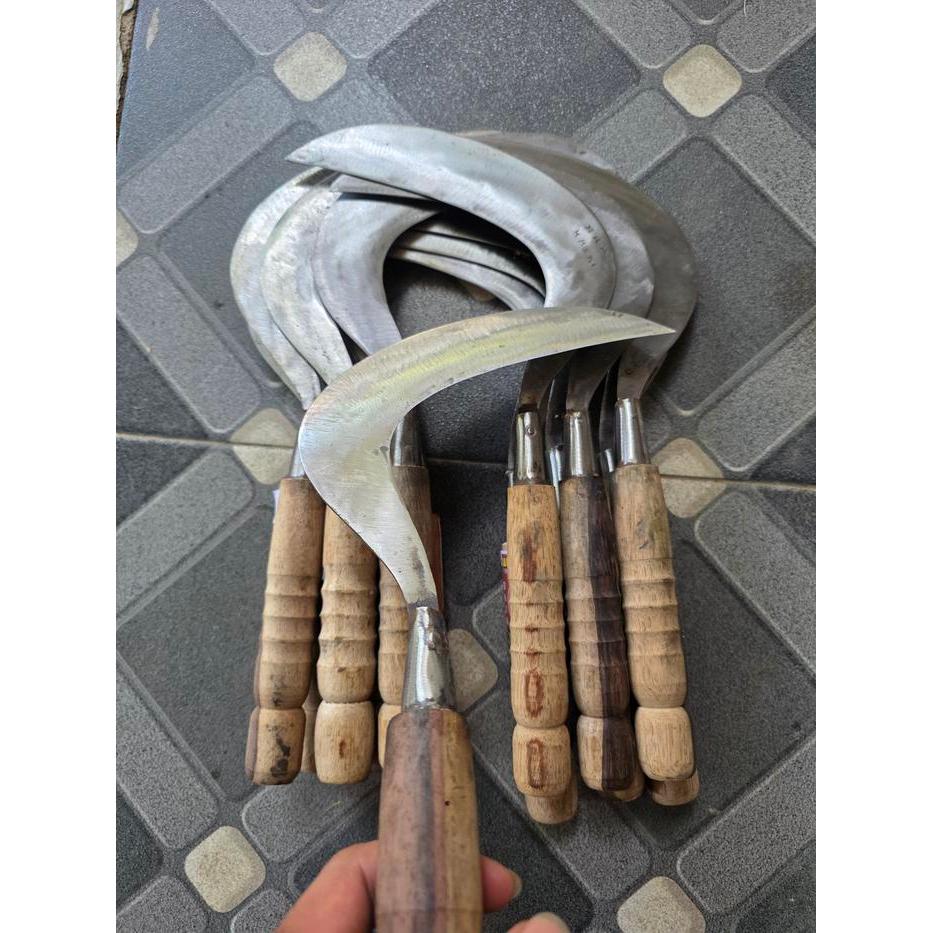 Sabit Arit Pengaritan Rumput Baja Putih Super Tajam Premium Sage