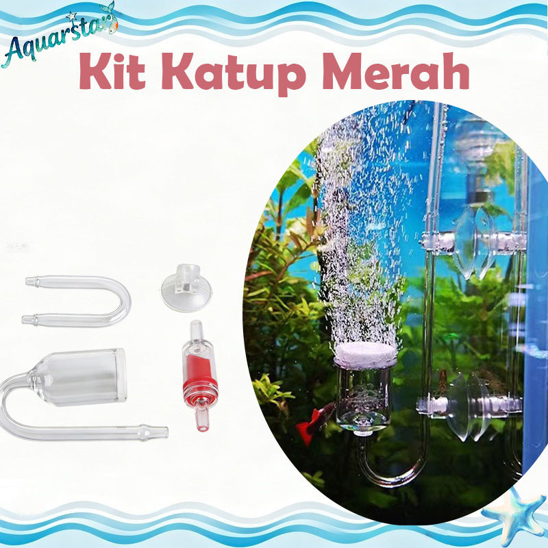 4 Dalam 1 DiffuserCO2 aquascape kaca difuser