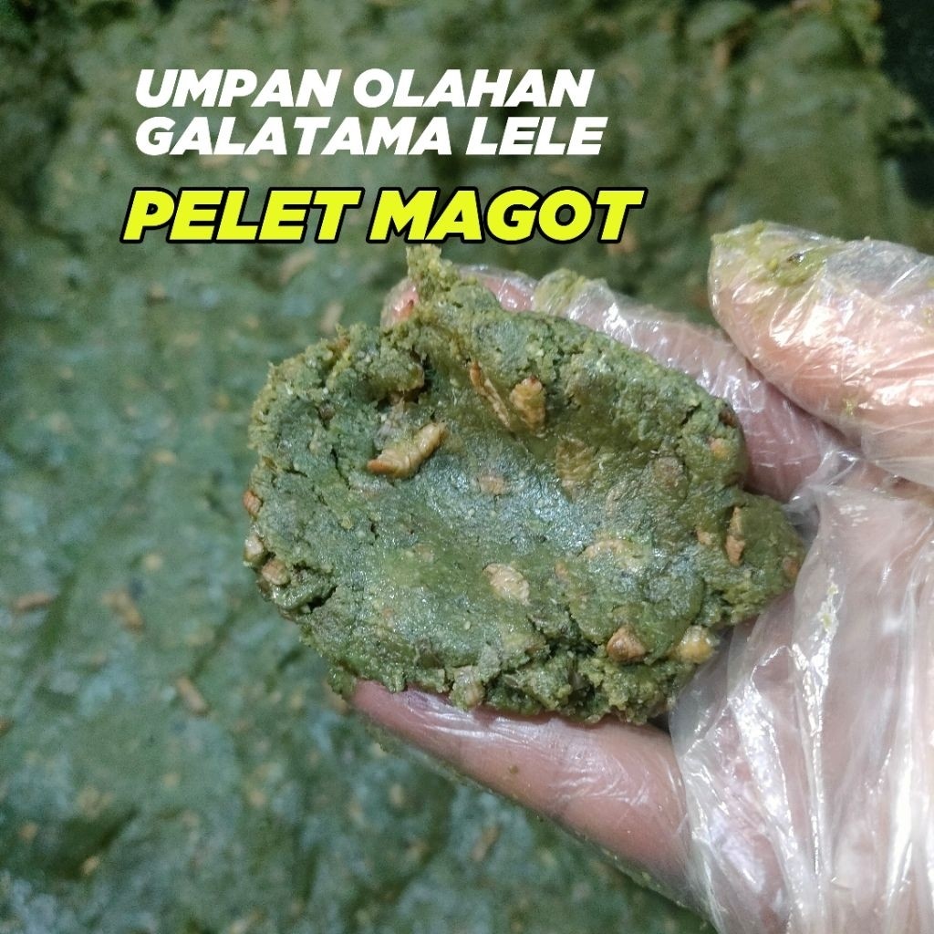 READYYUmpan Galatama Lele Siap Pakai Pelet Magot | Umpan Galatama Pelet Magot