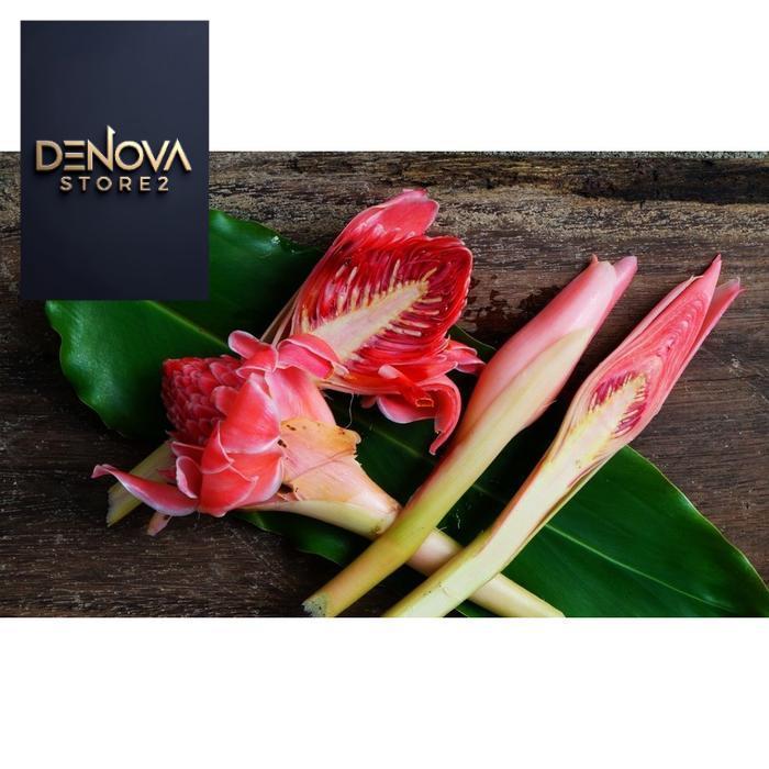 Sayur Sayuran Segar Purwokerto FRESH Bunga Kecombrang per Tangkai