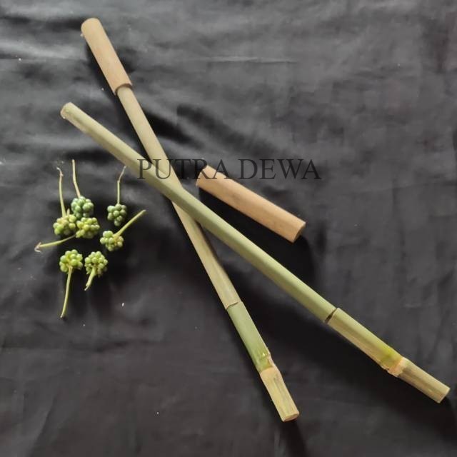 Pletokan Bambu Tembakan Bambu Tradisional Mainan anak Bebedilan