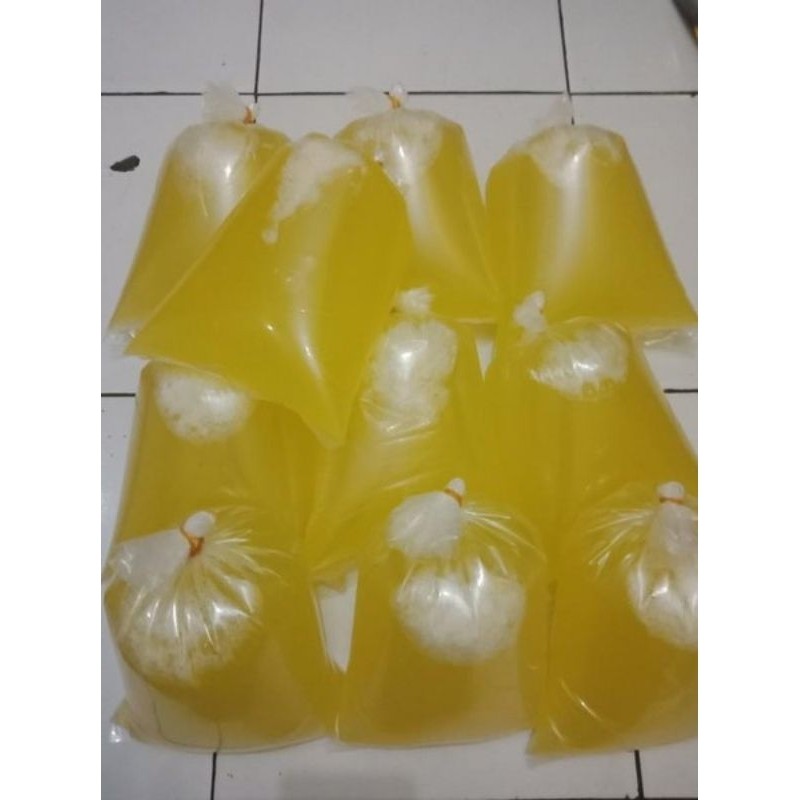 Putih telur (mentah) 1kg fresh