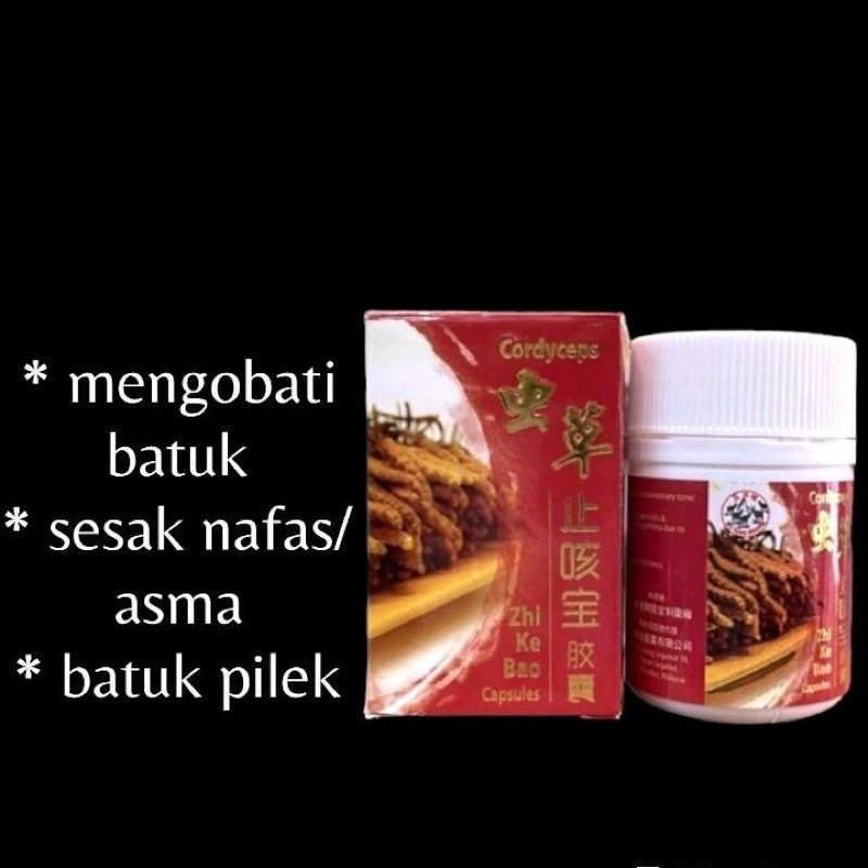 TERBARU ((TERLARIS)) READY zhi ke bao - cordyceps zhi ke bao obat batuk , asma