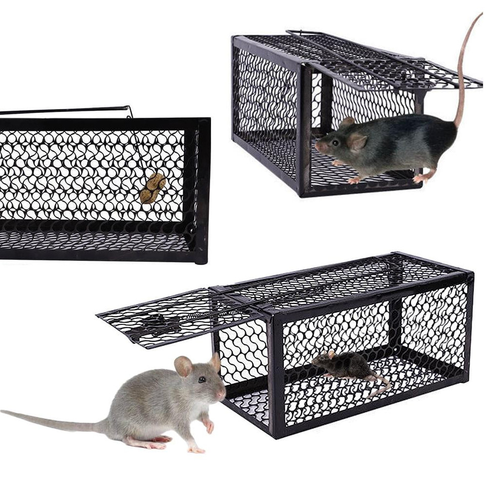Jebakan Tanpa Menyiksa Perangkap Tikus yang Simpel Jebakan Tikus Kandang Besi Automatic Mousetrap