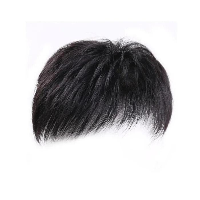 PROMO  Rambut Palsu Pria Untuk Botak Wig Pria Botak Penutup Botak Sebagian Toupee Botak Depan Pria H