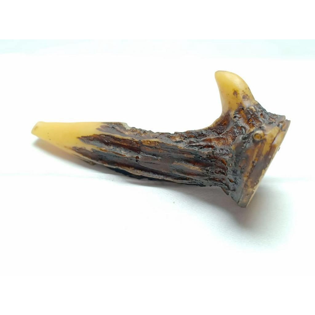 termurah NEW { BAYAR DI RUMAH } Pipa Rokok Cangklong Model Tanduk Rusa