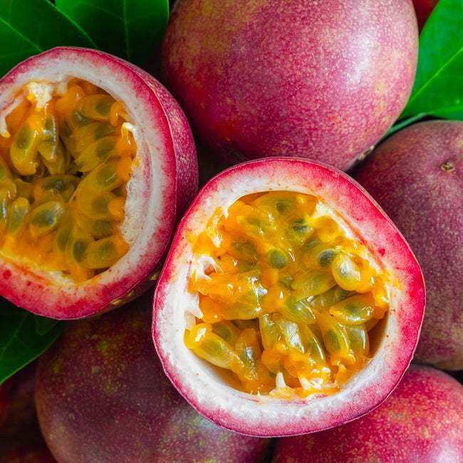 50 BUTIR BIJI / BENIH BUAH MARKISA MANIS MERAH