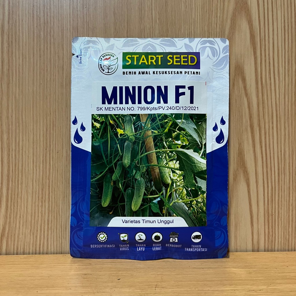 BENIH TIMUN MINION F1 20 GRAM CAP BENDERA