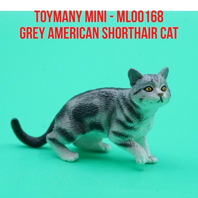 ToyMany Mini ML00168 | Grey American Shorthair Cat Kucing Ash Mouser Felis Catus | Mainan Figure Bin
