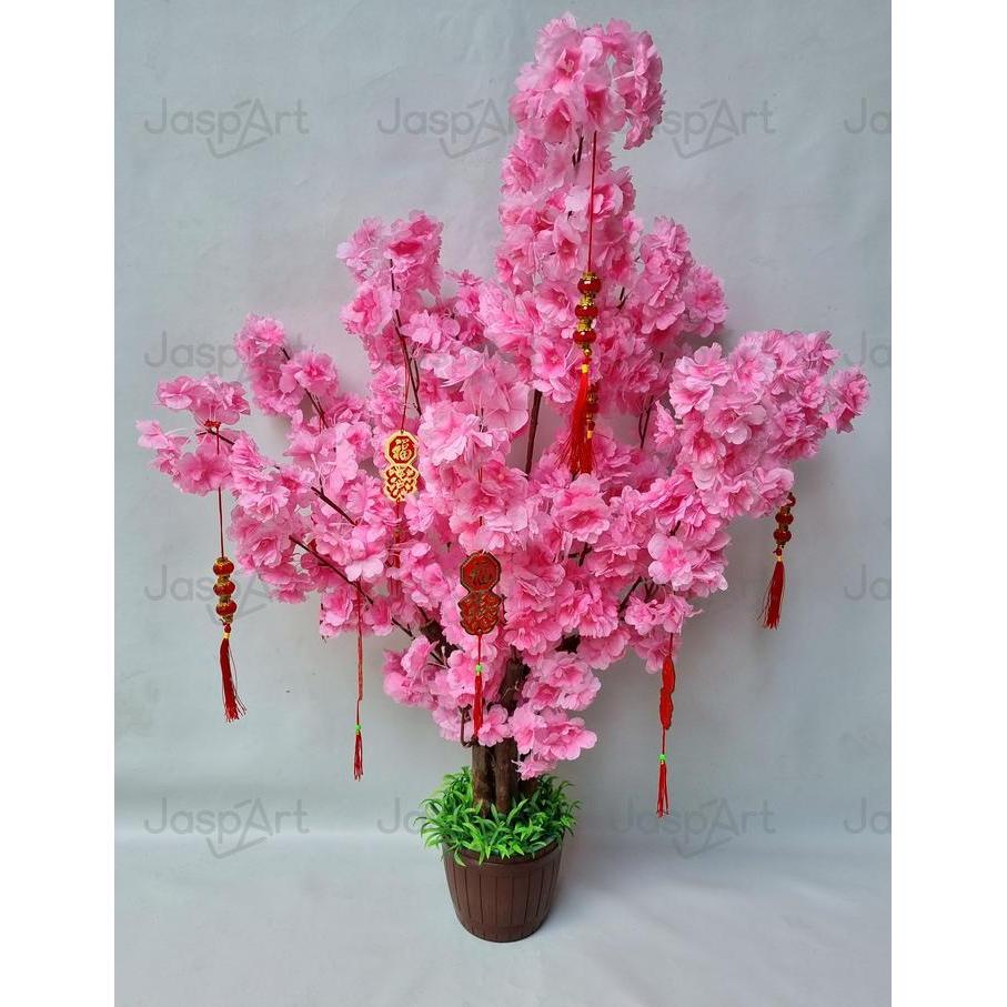 POHON SAKURA JEPANG MEI HWA SIZE BESAR  1 METER POHON IMLEK