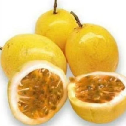 Buah markisa kuning asam segar 1 kg