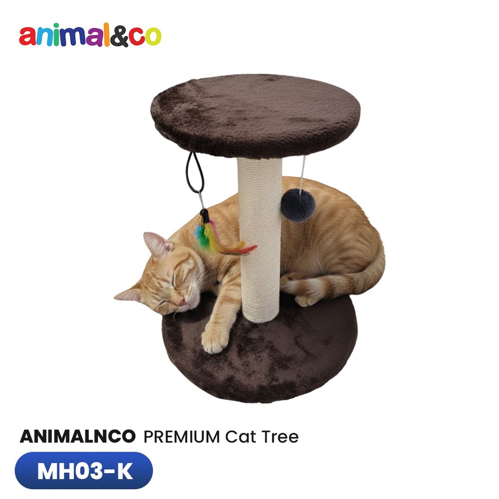 Cakaran Kucing Cat scratcher Tree cat Tree -  Mainan Garukan Kucing