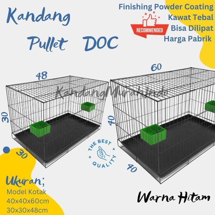 KANDANG UMBARAN PEMBESARAN, DOC, PULLET, MURAH SERBAGUNA l KANDANG DOC HEWAN KUCING ANJING KELINCI S