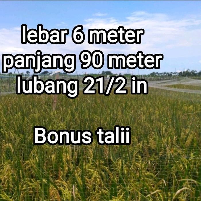 COD jaring burung, jaring padi senar 012 lubang 21/2 in 100x100 lebar 6 meter panjang 90 meter bonus