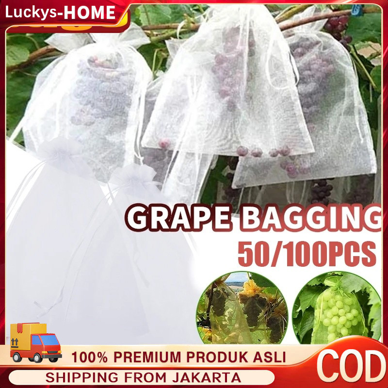 100PCS Fruit Cover/Pembungkus Buah/Fruit Cover Anti Serangga/Fruit cover net jaring transparan pembu