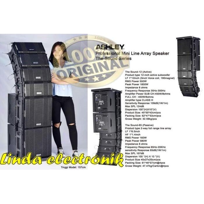 PROFESIONAL MINI LINE ARRAY ASHLEY SPEAKER THE SOUND SERIES