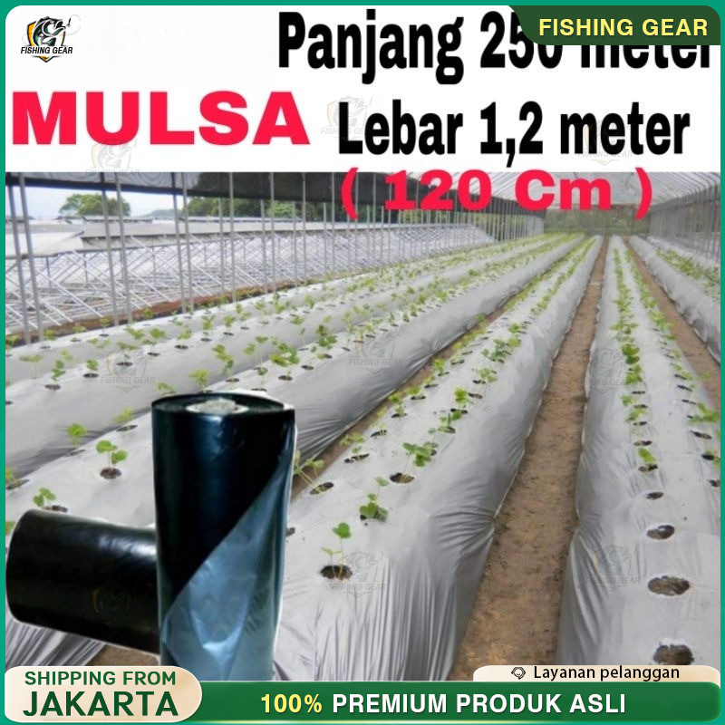 PLASTIK MULSA ( 1 ROLL ) panjang 250 meter * Lebar 120cm (1,2meter)