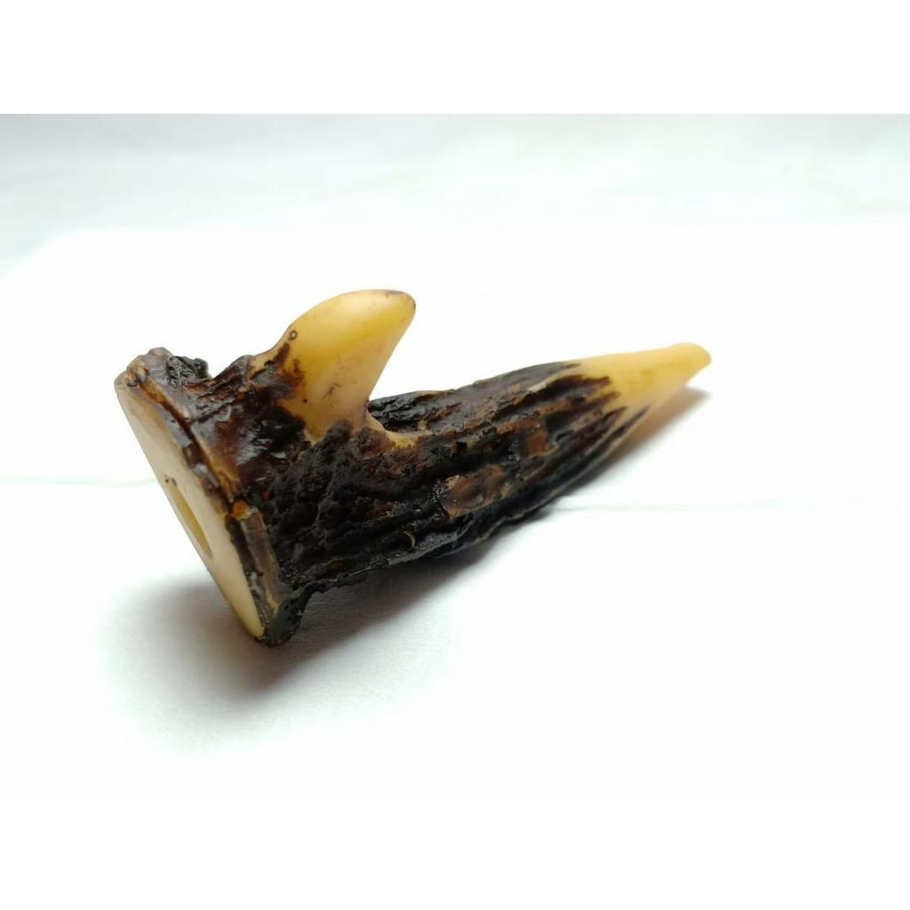 termurah NEW { BAYAR DI RUMAH } Pipa Rokok Cangklong Model Tanduk Rusa