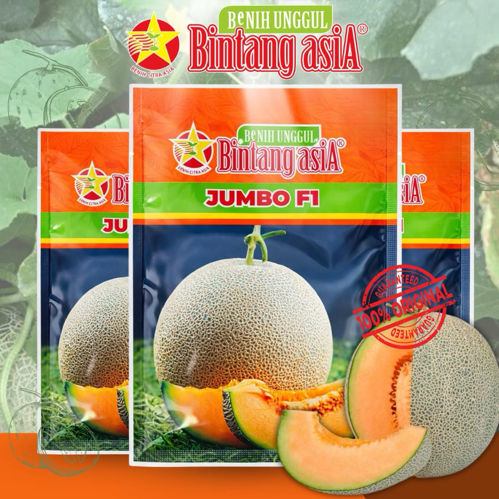 Benih melon JUMBO F1 20Gr Original Bintang Asia