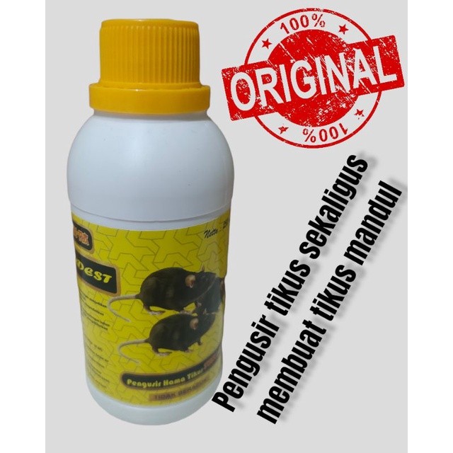 pembasmi hama tikus Loudest