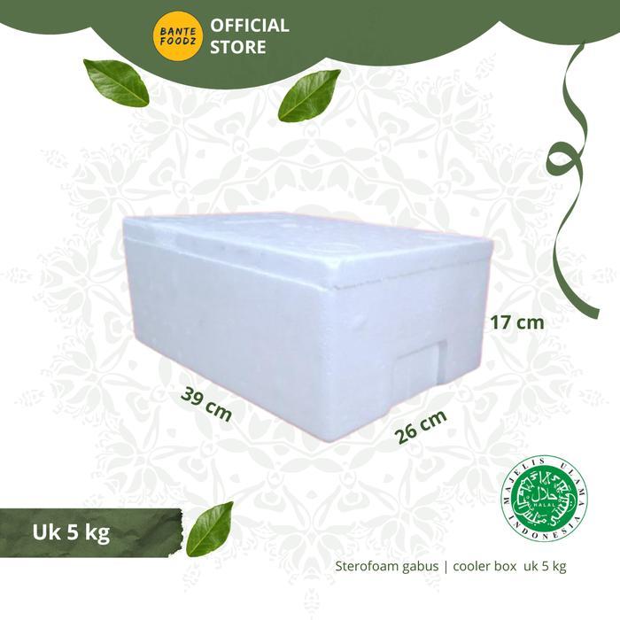 Box Stereofoam Gabus Styrofoam Busa Sterofoam Kotak Es Besar Tebal - 5KG