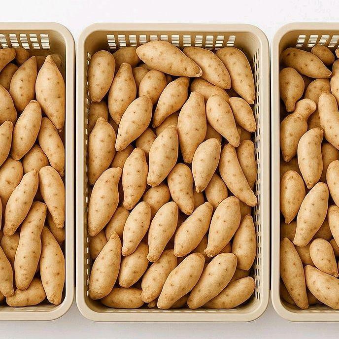 Promo ubi madu 1 kg fresh / ubi madu jalar cilembu
