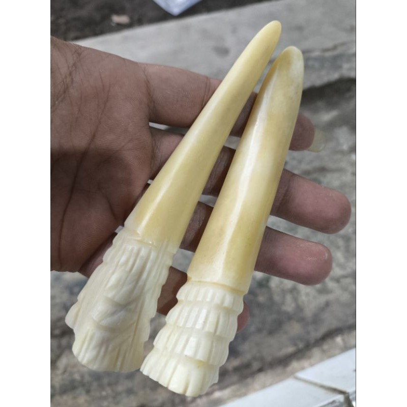 PIPA ONCE TULANG IKAN MODEL TARING