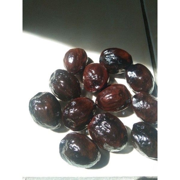 News Arrival muncang adu jayanti jawa sudah matang siap aben