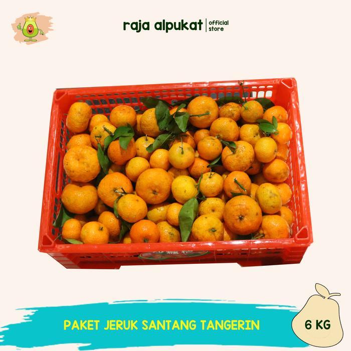 Promo GROSIR JERUK SANTANG MADU TANGERINE I BIRMA (PER BOX/ KERANJANG)Ori