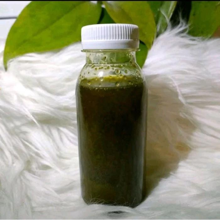 Alvino Minyak Asli Papua Original Bpom