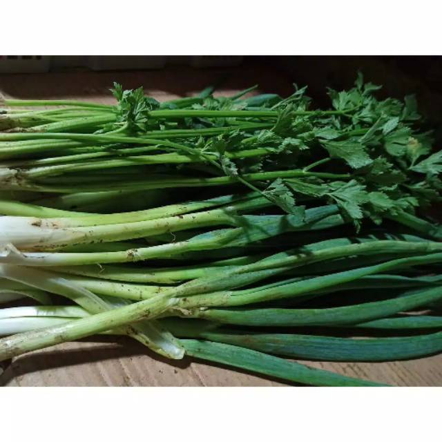 sayur bawang daun 250 gram bandung