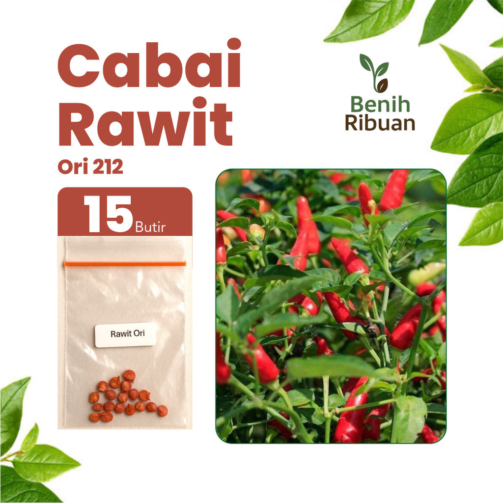 BENIH JAYA - Benih Cabai Rawit Ori Unggul Bibit Cabe Rawit Super Cabe Rawit Pedas Lebat Premium