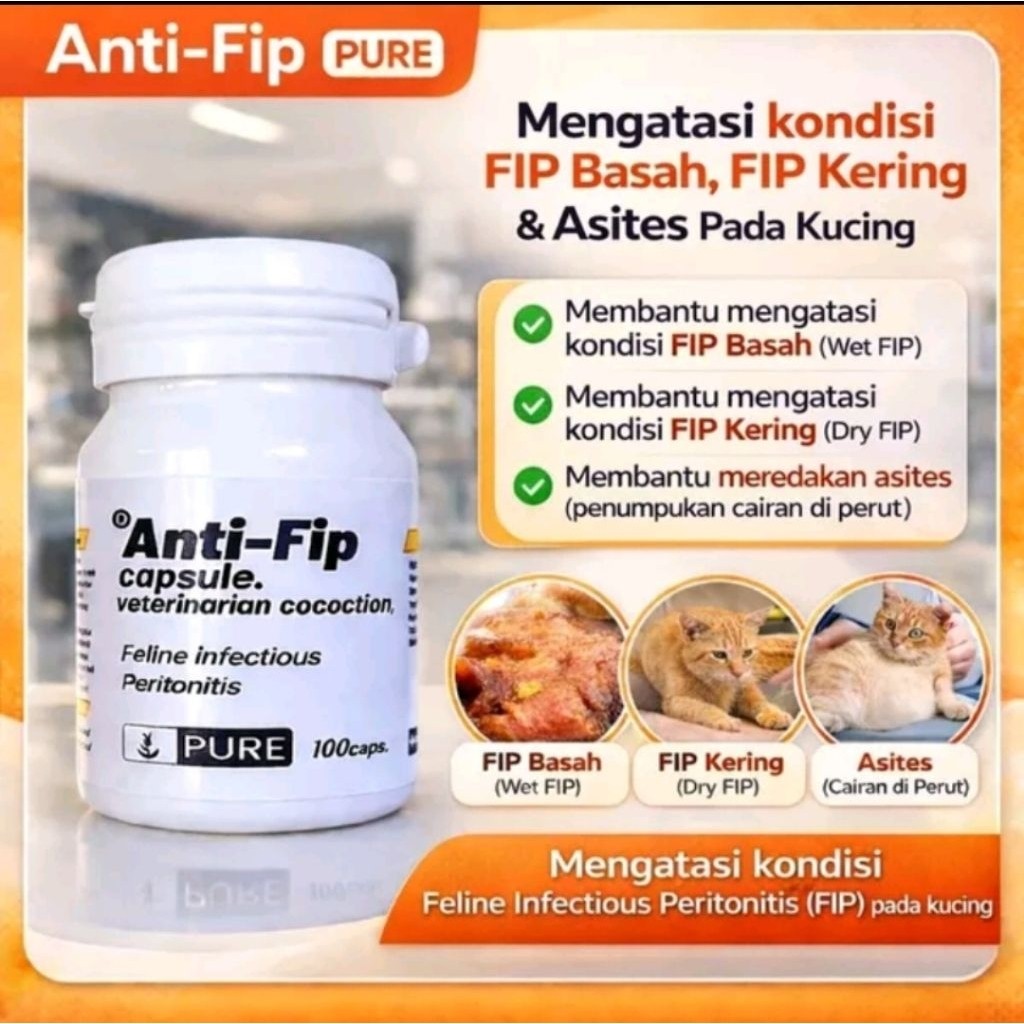 AUPSHOP ANTI FIP KUCING  FIP BASAH DAN FIP KERING