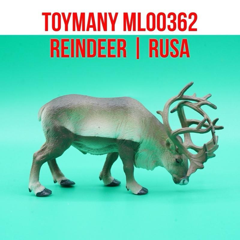 ToyMany ML00362 | Reindeer Karibu Rusa Caribou Rangifer Tarandus | Mainan Figure Binatang Miniature 