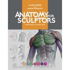 BUKU Anatomy for Sculptors, Understanding the Human Figure by Uldis Zarins, Sandis Kondrats